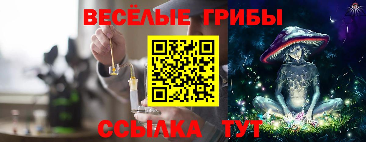 Псилоцибиновые грибы Cubensis  Вход с VPN  Балашиха 
