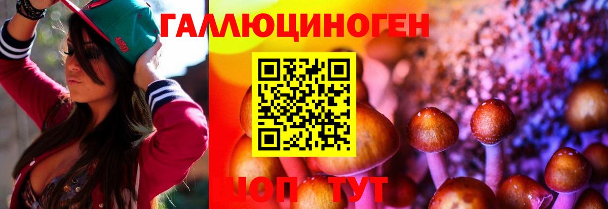 Галлюциногенные грибы MAGIC MUSHROOMS Балашиха